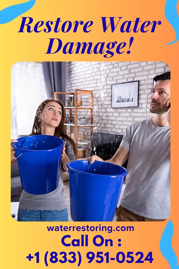 water restoration Premier Disaster Cleanup Co Halfway