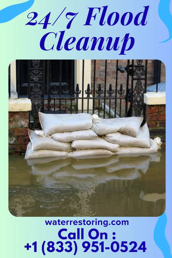 24/7 Flood Cleanup in Halfway, MO