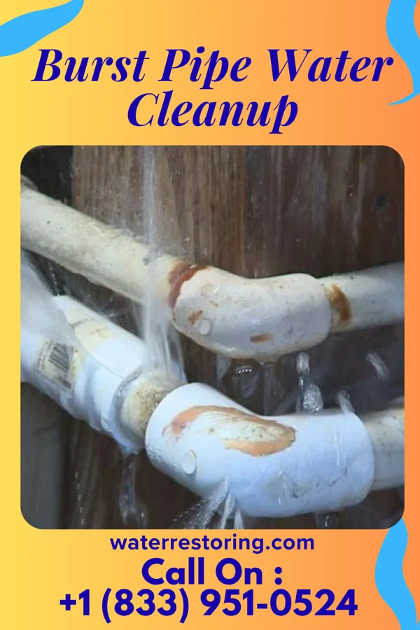 Burst Pipe Water Cleanup in Halfway, MO