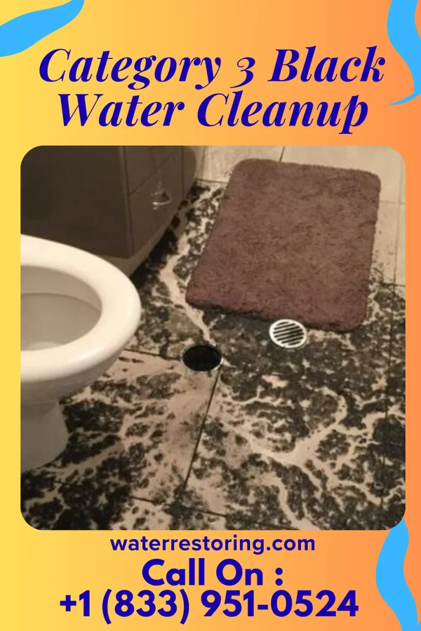 Category 3 Black Water Cleanup in Halfway, MO