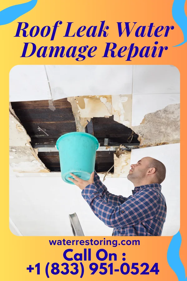 Roof Leak Water Damage Repair in Halfway, MO