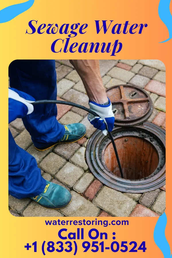 Sewage Water Cleanup in Halfway, MO