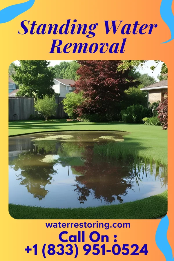 Standing Water Removal in Halfway, MO
